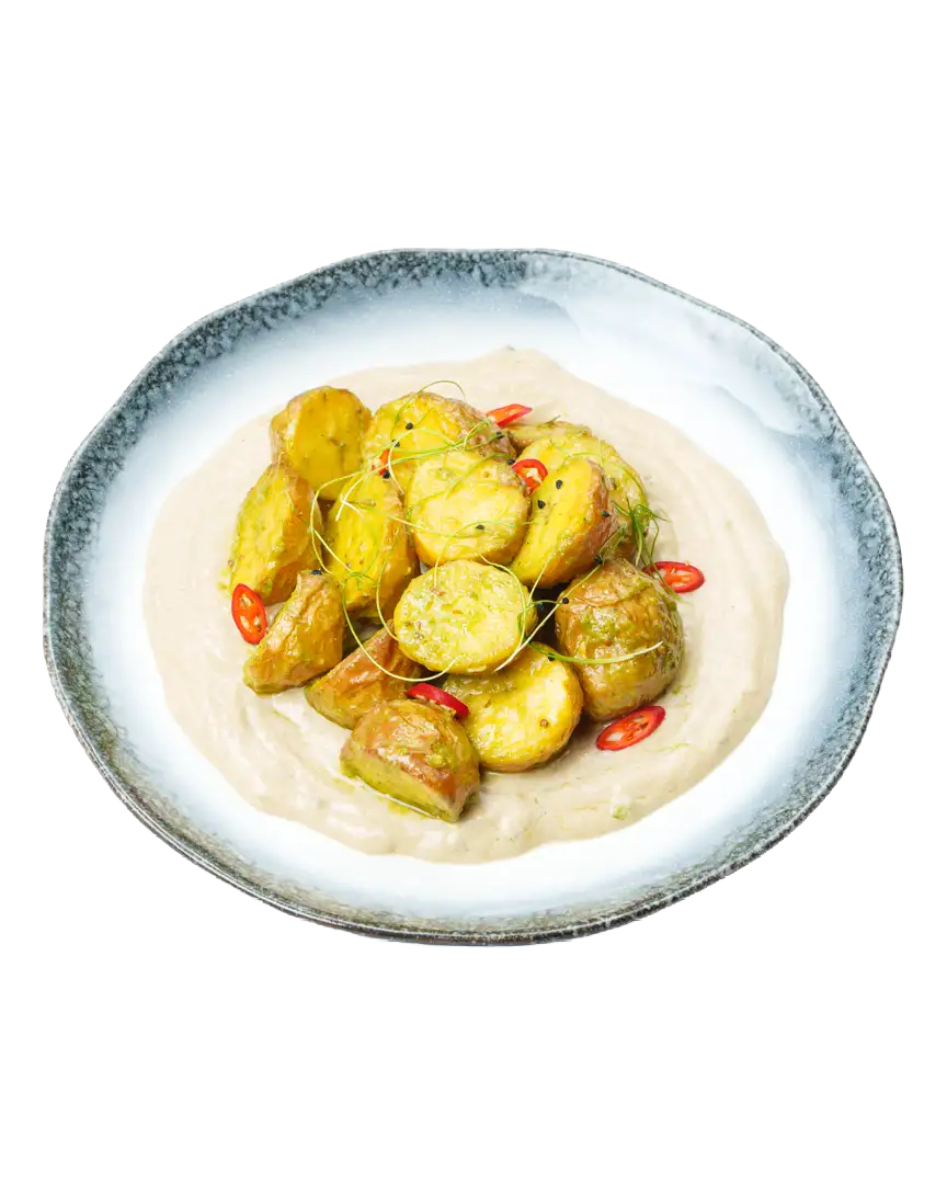 جکت پوتیتو